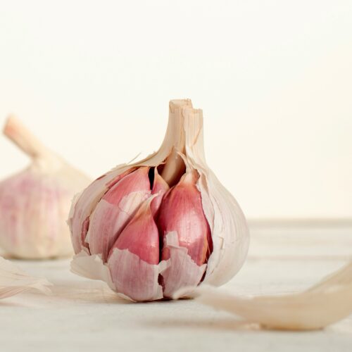 Creole Red Hardneck Garlic