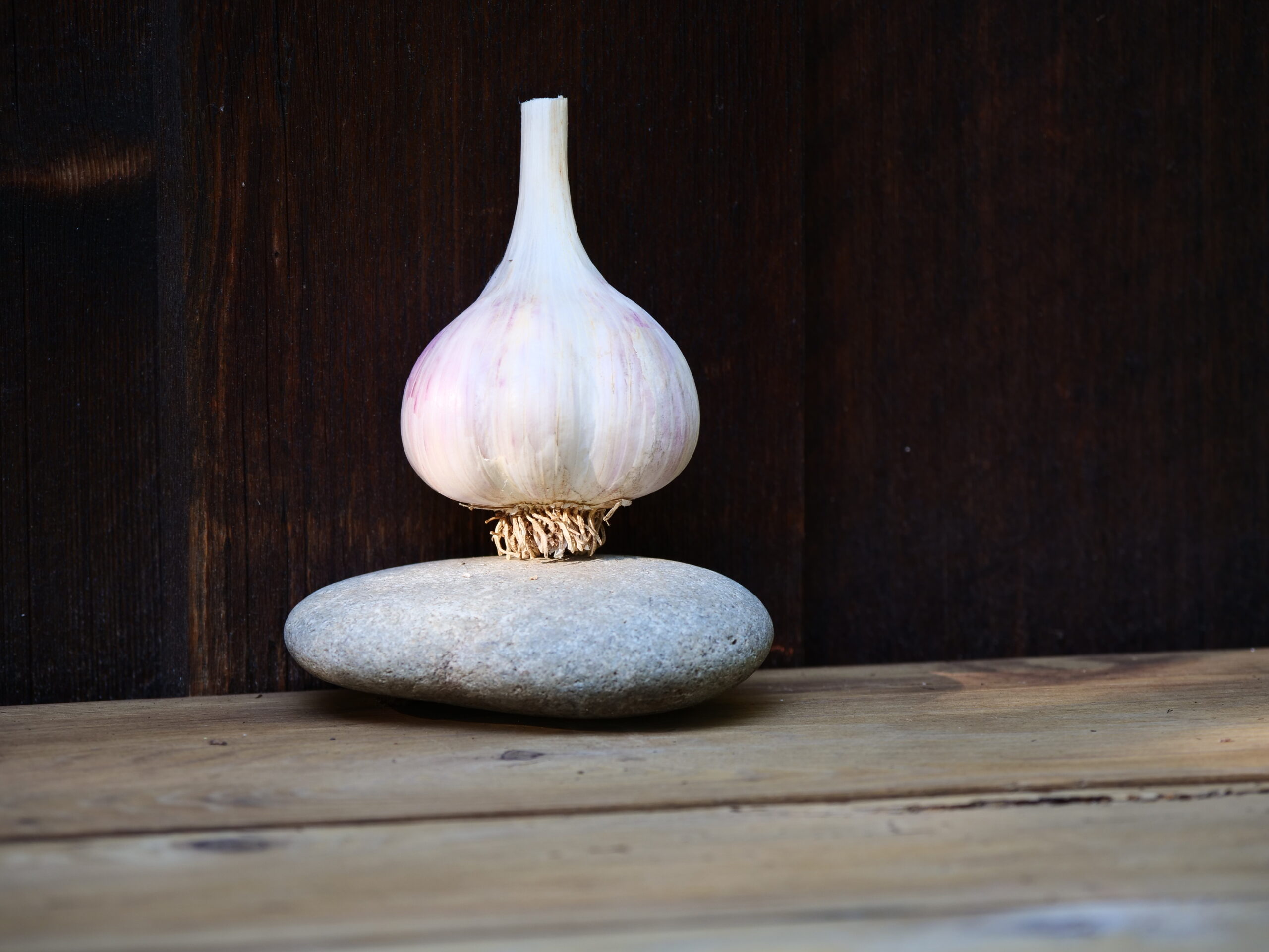 2026 Armenian Hardneck Seed Garlic Pre-Order - Image 3